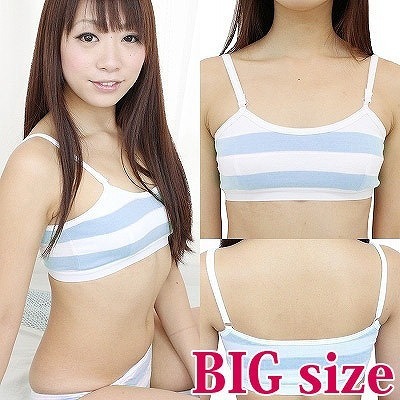 ボーダースポーツブラ(しまスポブラ) BIG