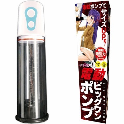 電動ビッグワンポンプ