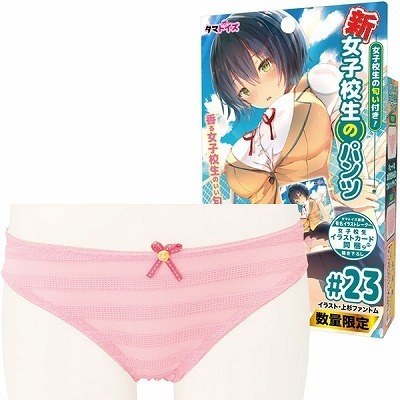 新・女子校生のパンツ (23)